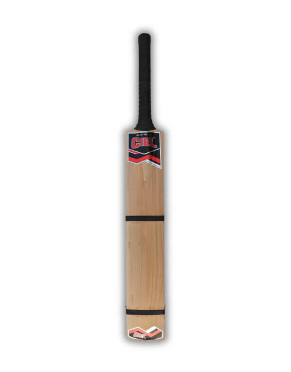Best tennis ball cricket bat back profile