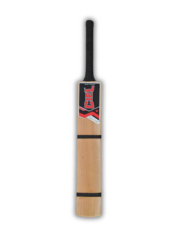 Best tennis ball cricket bat front profile