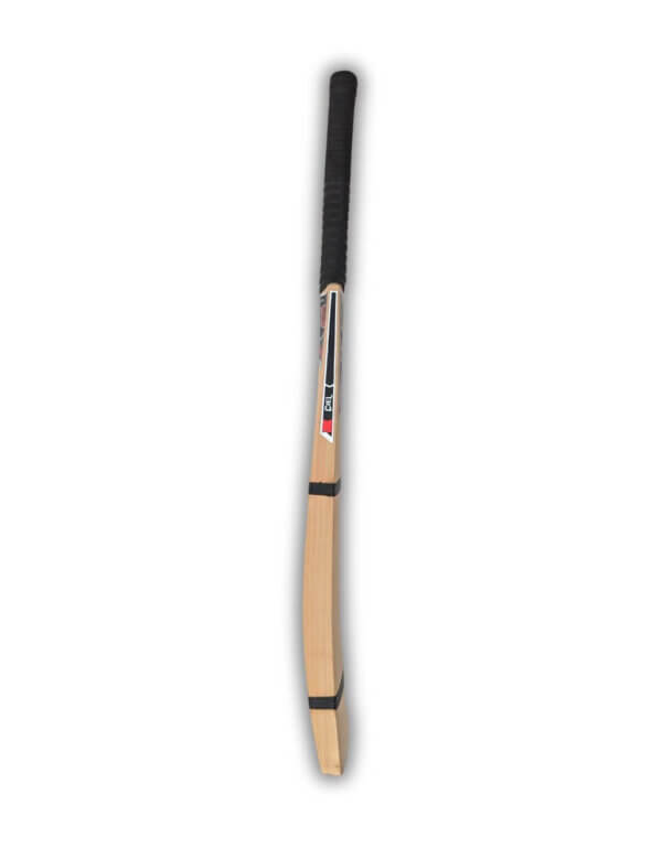 Best tennis ball cricket bat side profile