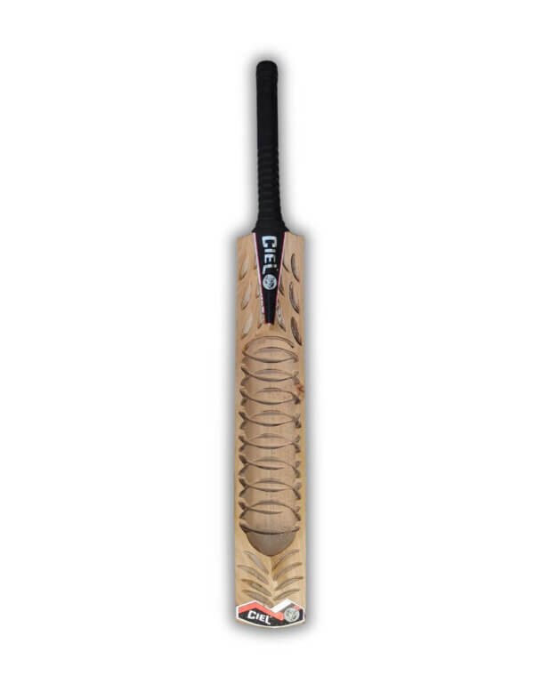 Best cricket bat for hard tennis ball back profile