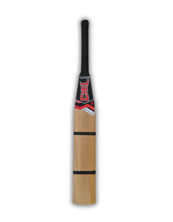 Hard tennis bat front profile