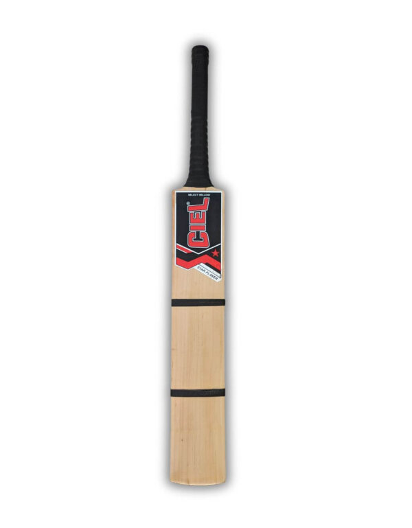 Soft tennis cricket bat front profile