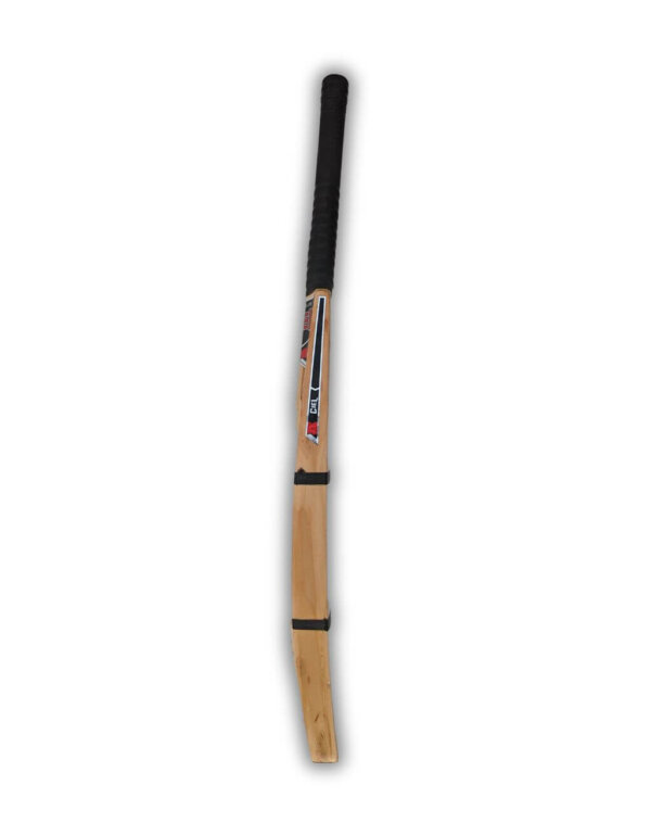 Soft tennis cricket bat side profile
