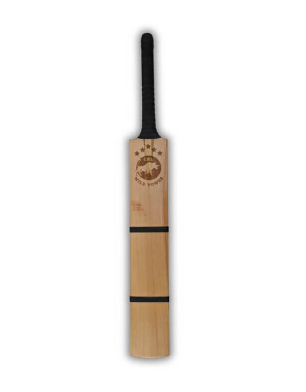 Tennis ball bat front profile