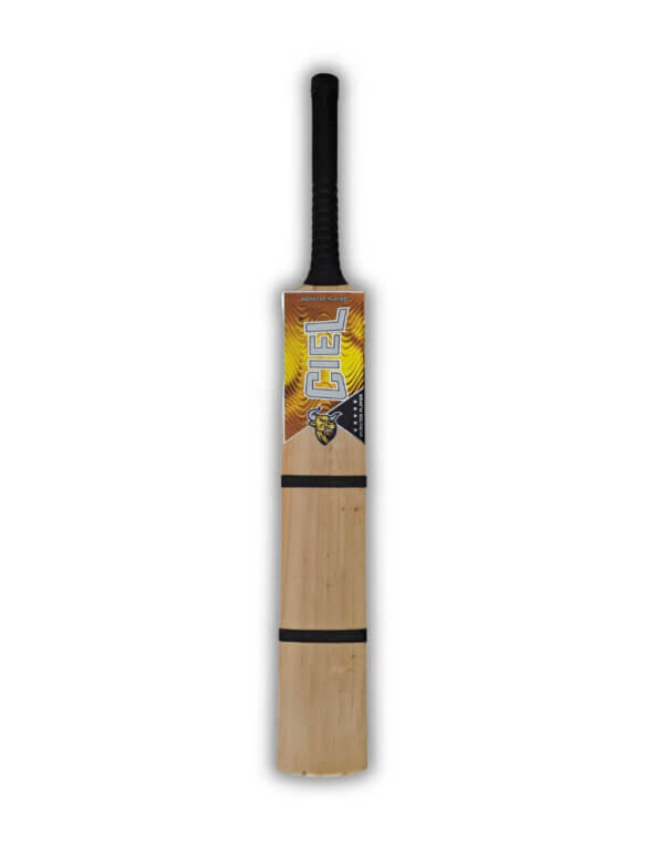 Tennis ball cricket bat front profile