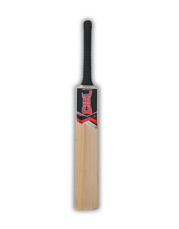 Best tennis cricket bat front profile